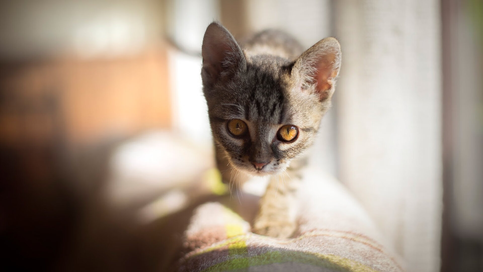 新型空气动力学装置助力赛车突破极限，运用空气动力学的跑车