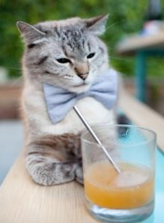 《Faker:十年不败的传奇路,未来可期》,faker职业多少年