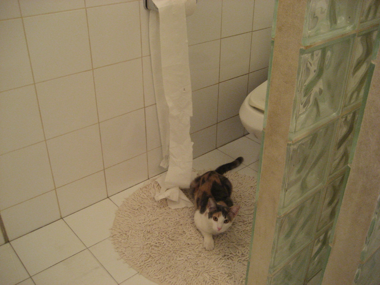 【炸裂】塞内加尔球员雪地爆射破门，场面燃爆全场！，塞内加尔的球员