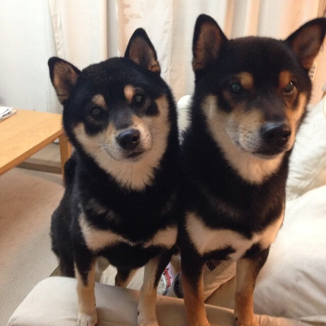 【规则讲解】棒球比赛中的三振、选球和盗垒详解,棒球三振必须连着三个好球么