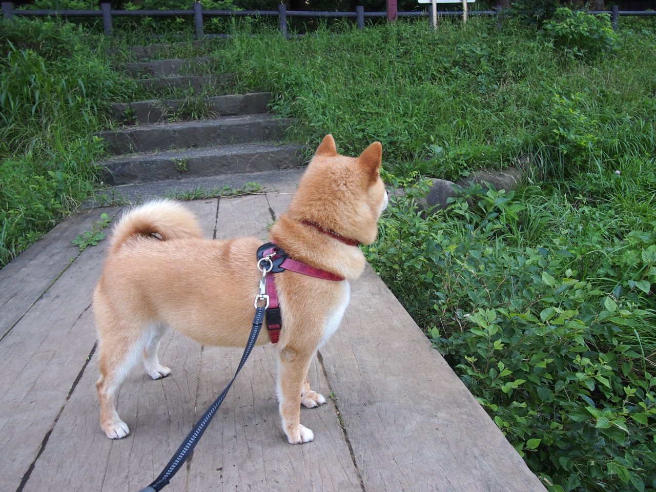 史上最“燃”的季后赛夜战，你看过哪一场？，季后赛战果