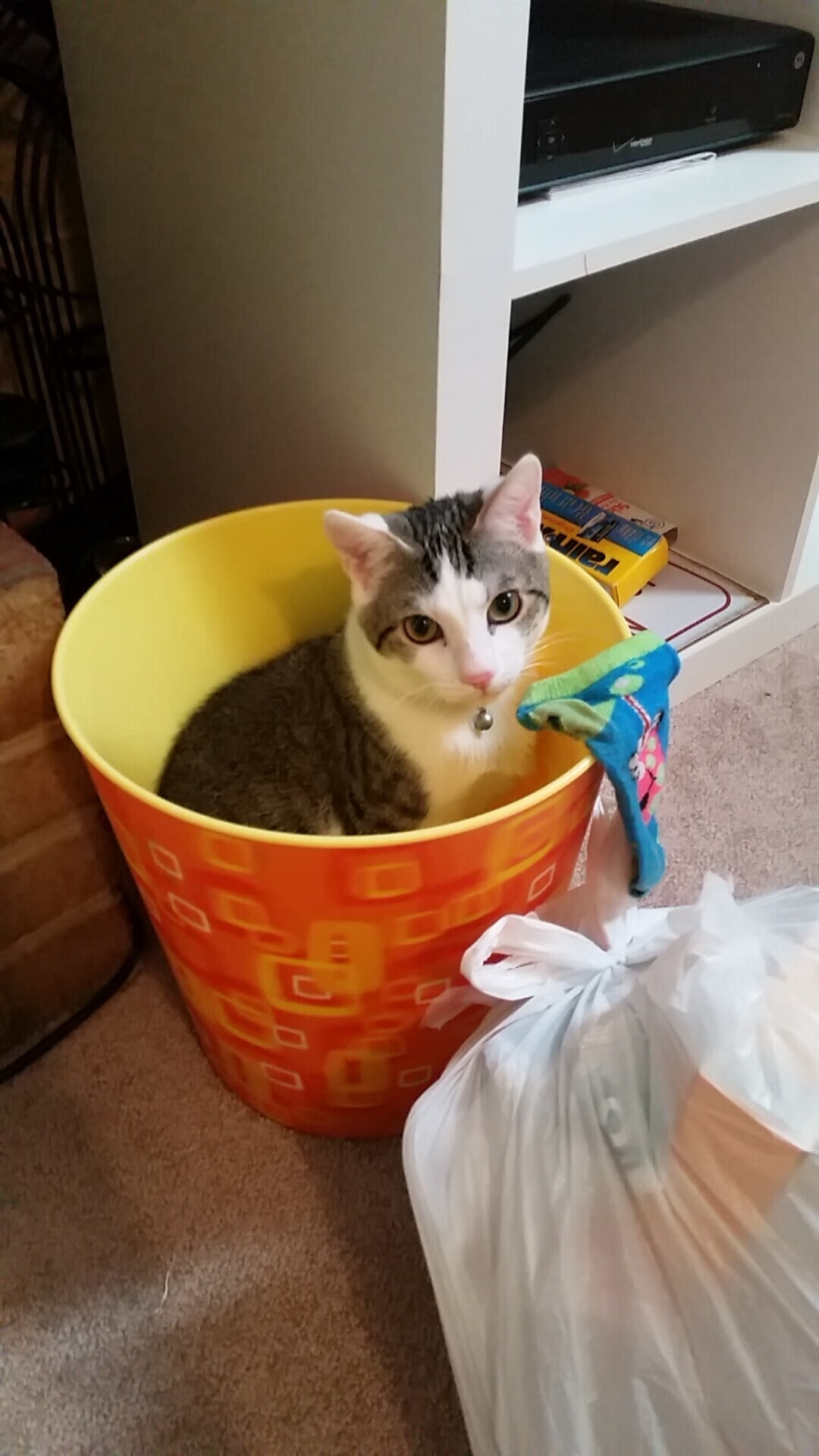 爱游戏中国-国际冰壶赛，冰场上的战略比拼，中国国际冰壶精英赛·中国公开赛