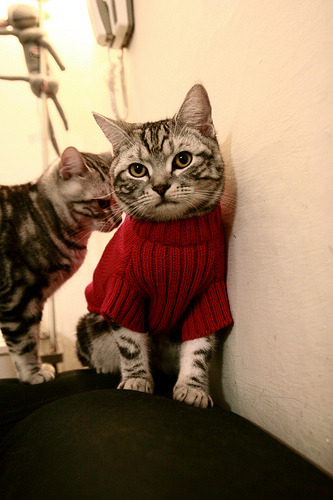 在2019年总决赛第六场，库里一人拿下23分，关键时刻多次砍下关键三分，助勇士夺冠