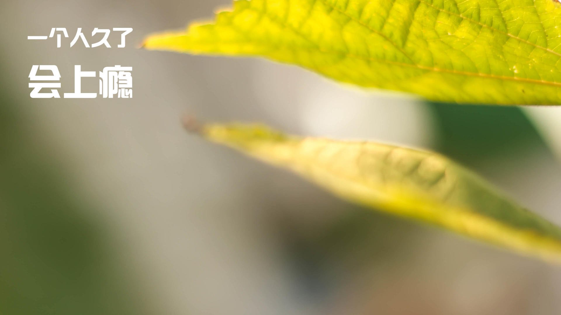 巴萨控球率持续领先，逐步蚕食对手耐心，巴萨控球视频